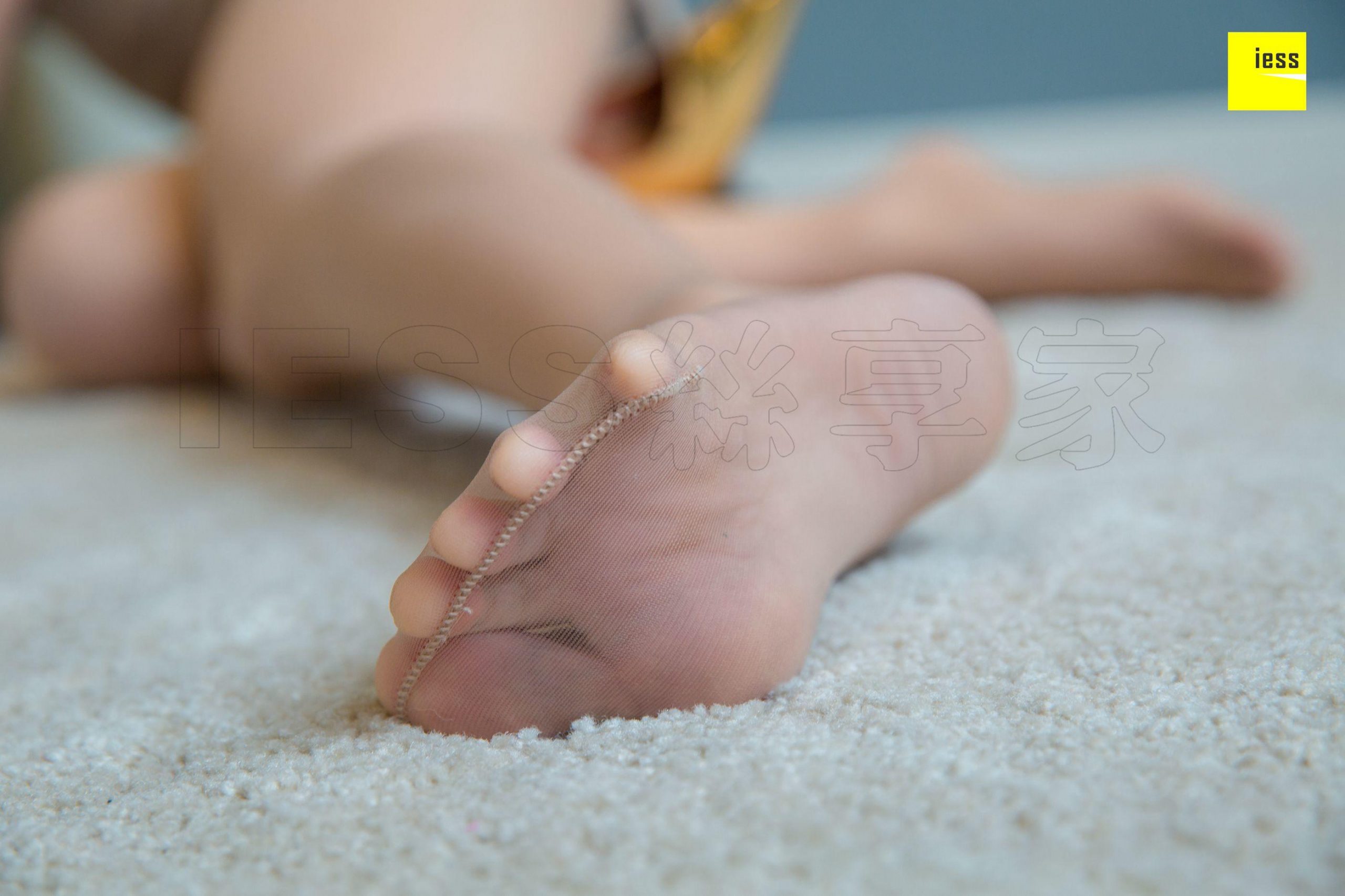 图片[89]-iess异思趣向 秋秋 妩媚包臀连衣裙 高清丝袜美腿写真图94P-91美腿图片网